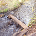 walk the plank-sort of
