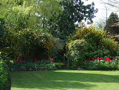 Fulbourn garden 2010-04-30