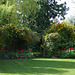 Fulbourn garden 2010-04-30