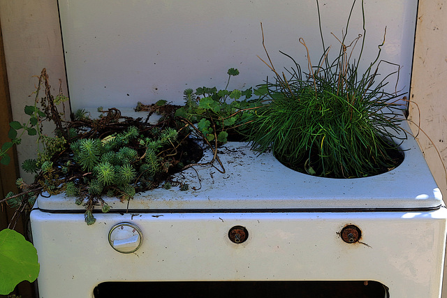 Cuisinière en herbe