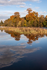 Reflections in the River Beauly