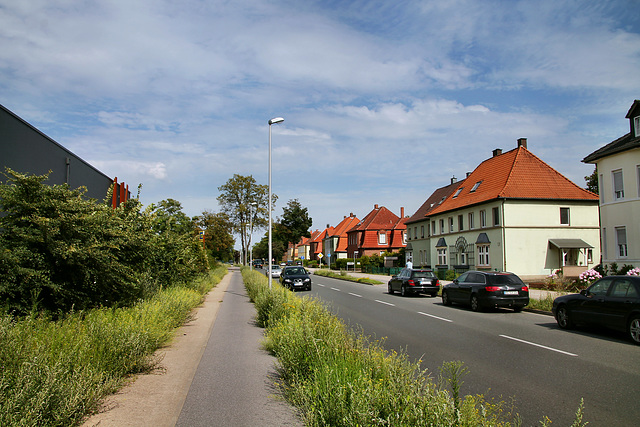 Halterner Straße (Hervest-Dorsten) / 19.07.2020