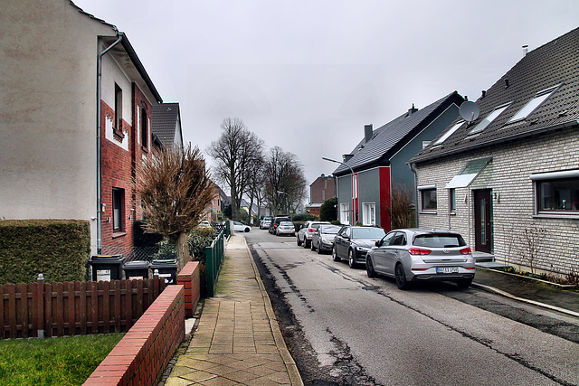 Hesternstraße (Wattenscheid-Eppendorf) / 17.02.2024