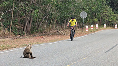Il était déterminé à ce que ce cycliste le contourne !