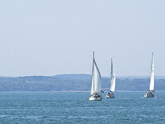 Sailing Boats