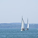 Sailing Boats