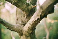Mostly blurred  <a monoku>