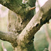 Mostly blurred  <a monoku>