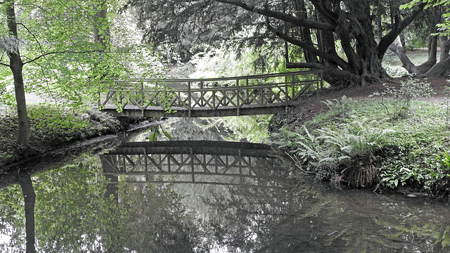 Thorpe Perrow Arboretum