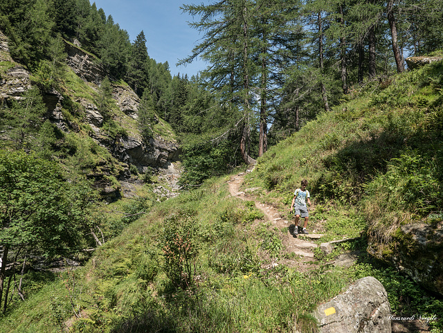 Cardinello Schlucht