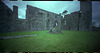 Bective Abbey (3)