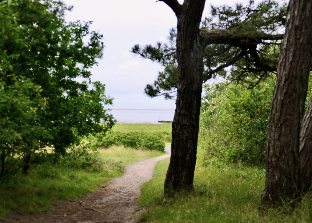 Pfad zum Strand