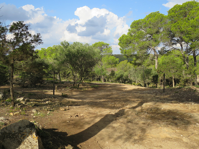 Path to Cala Macarelleta