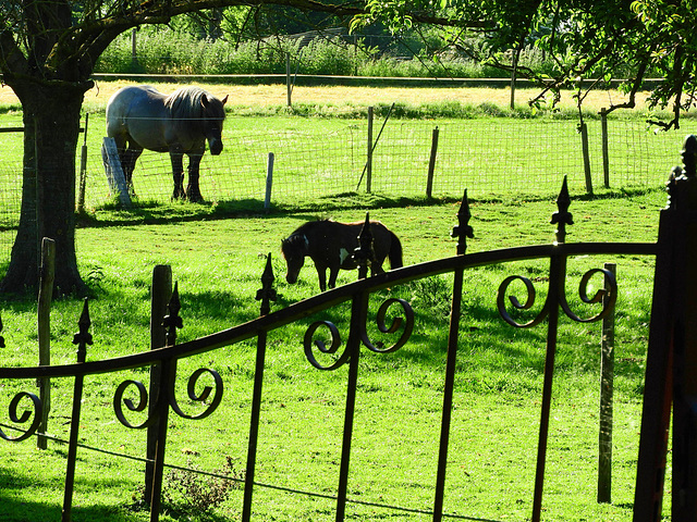 Behind Bars