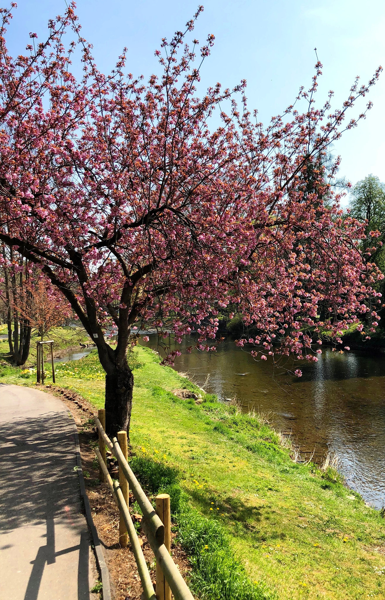 Frühling an der Ahr