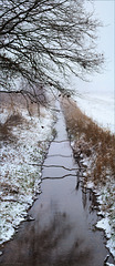 Het-Goor-sneeuw-20190122-155437-Stitch