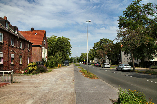 Halterner Straße (Hervest-Dorsten) / 19.07.2020