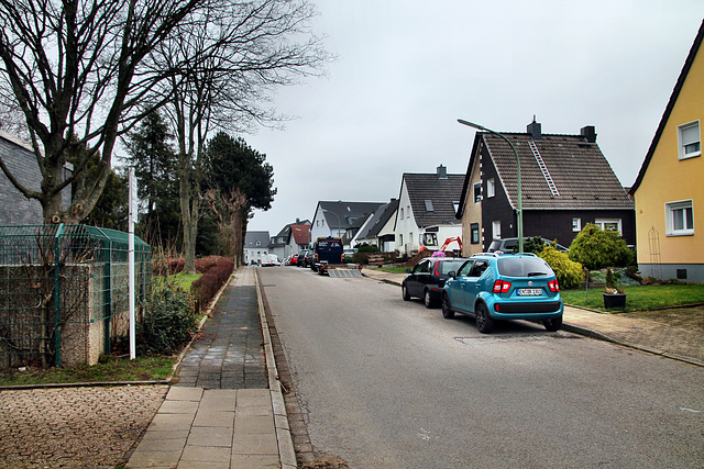 Vogelstraße (Wattenscheid-Eppendorf) / 17.02.2024