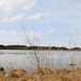 am Elbsee (KW15 mit PiP) am Elbsee (KW15 mit PiP)