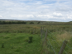 White Moor Edge