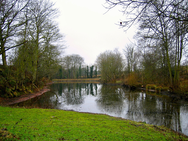 Pool at Stakenbridge Farm