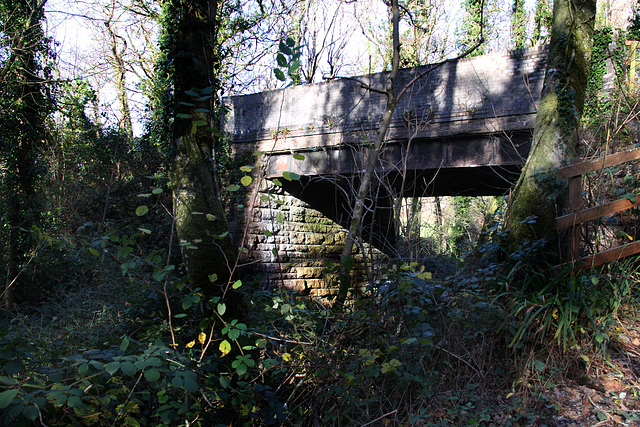 Bridge in the woods