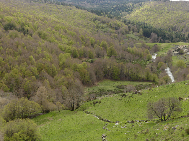 20240503 -05 Lavogne Blandas - Ruines Malpertus - Puech Sigal (79)