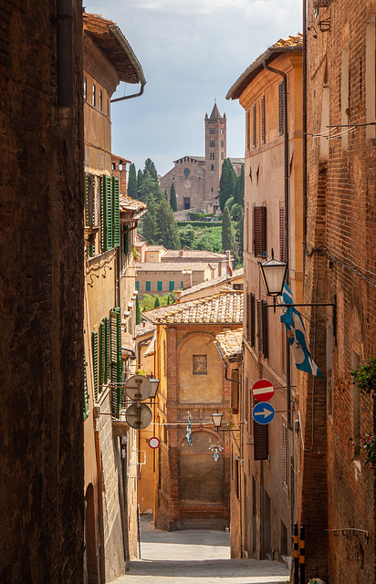 Looking down Vicolo di S. Salvatore, Siena towards San Clemente in Santa Maria dei Servi