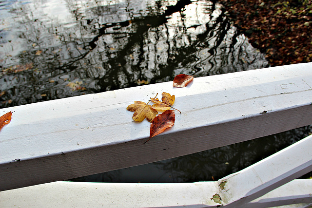 Auf der Brücke