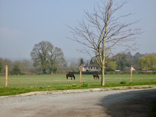 Shop Lane, Oaken