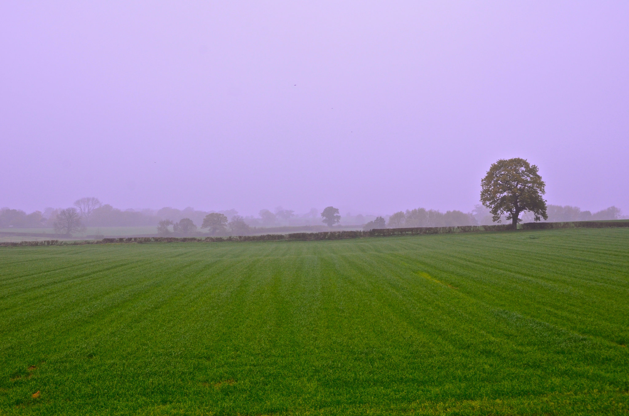 Misty start to the day