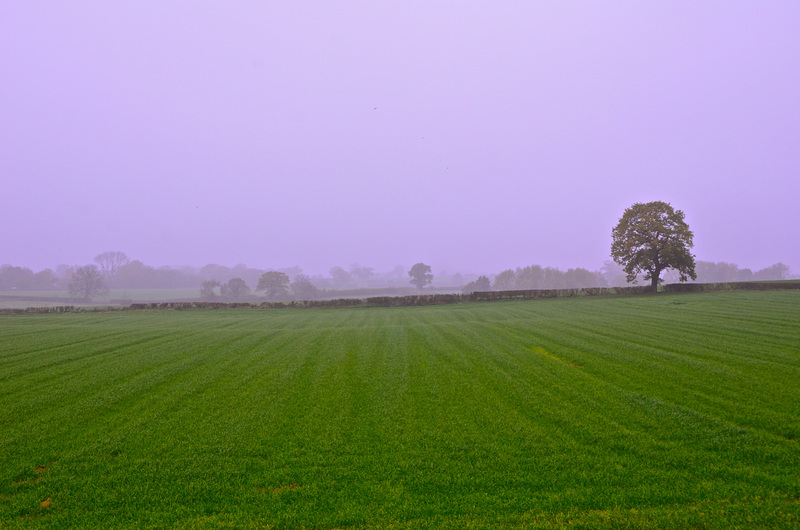 Misty start to the day