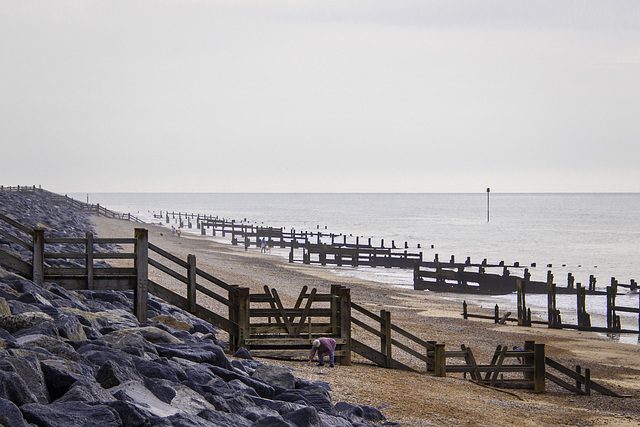 Beachcombing