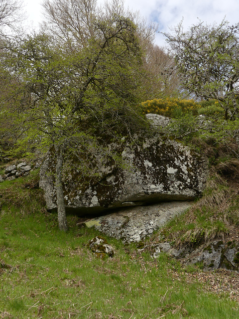 20240503 -05 Lavogne Blandas - Ruines Malpertus - Puech Sigal (80)