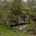 20240503 -05 Lavogne Blandas - Ruines Malpertus - Puech Sigal (80)