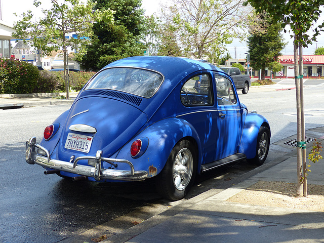 Blue Beetle in Millbrae (1) - 22 April 2016