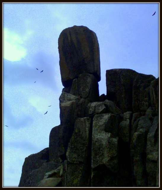 El Cancho de La Bola and vultures