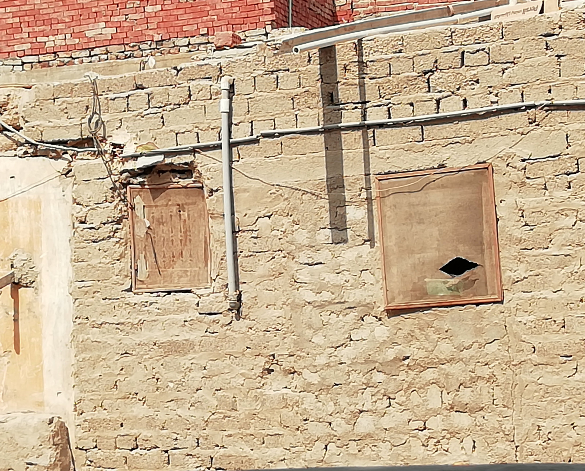 Fenster