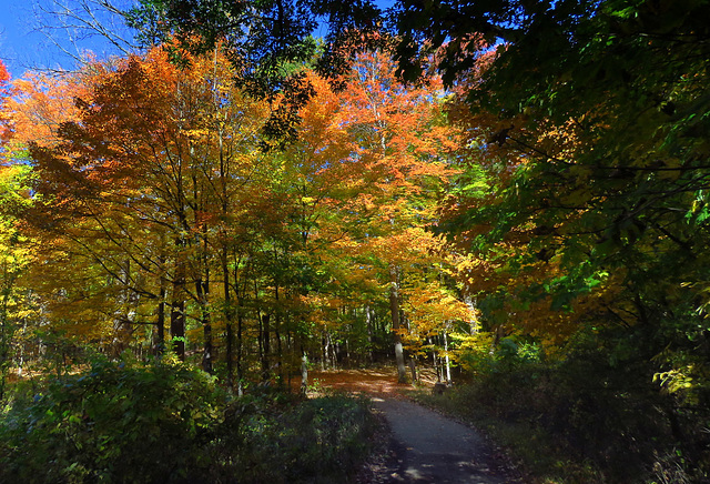 On the trail