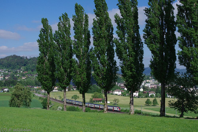 BÖ0020533