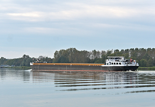 Gütermotoschiff PERSEVERANCE