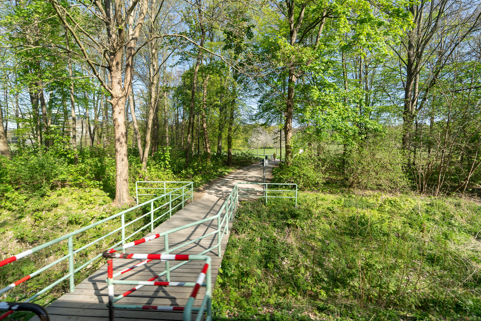 Köln - Fahrt mit dem historischen Schienenbus