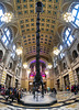 Dippy the Dinosaur on Tour