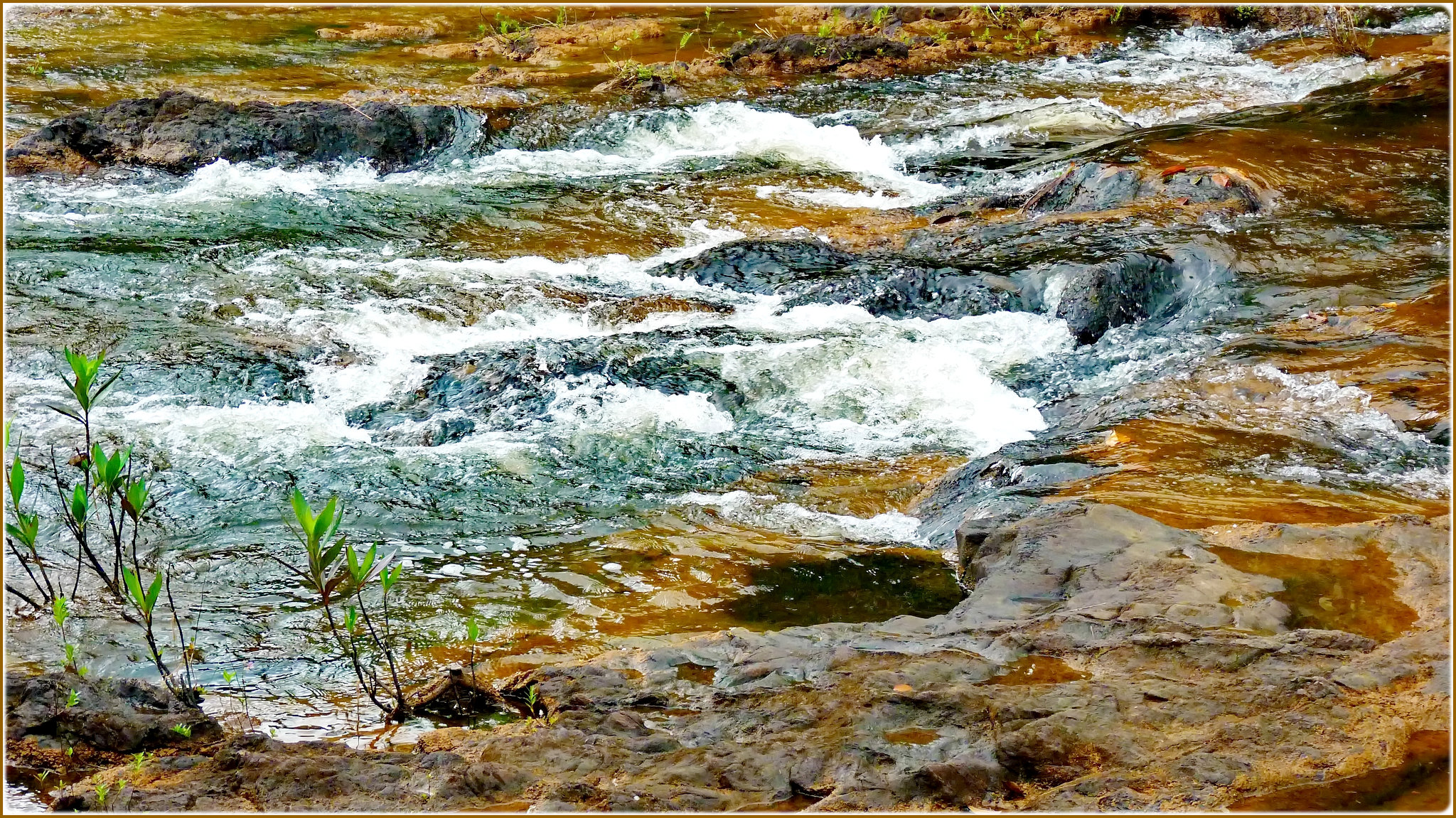 Ilhéus: acqua di sorgente scorre veloce