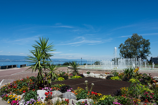 Thonon-les-Bains mit Blick auf den Genfersee (© Buelipix)