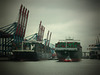 schöne Perspektive in den Waltershofer Hafen
