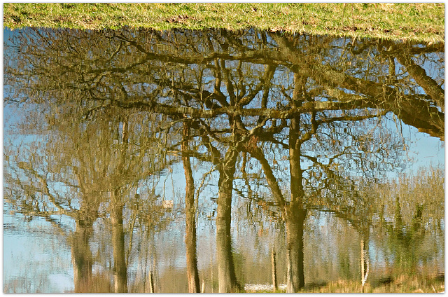 quand le ciel bleu nous met la tete à l'envers