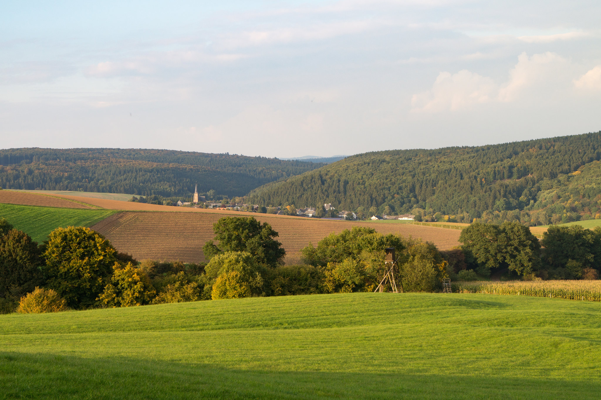 Ausblick vom Döhmberg