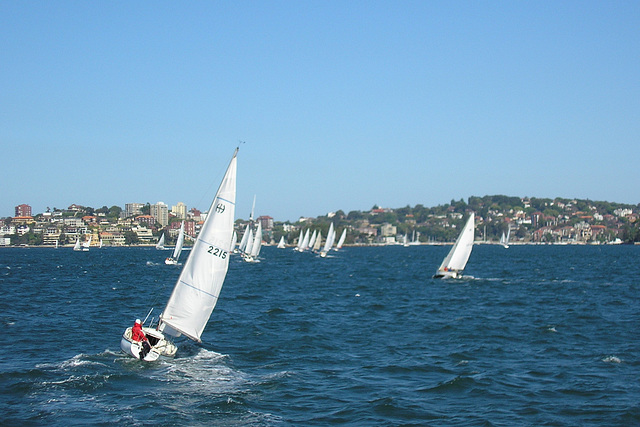 Boats On Sydney Harbour