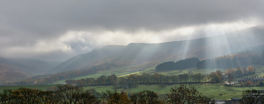 Autumn beauty comes to Greenfield